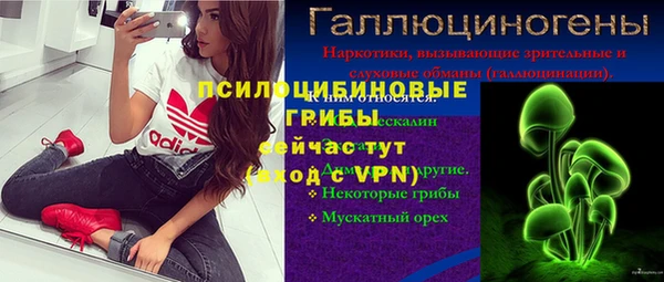 МДПВ Новодвинск