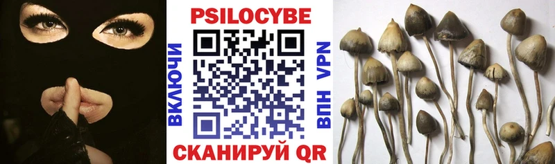 Псилоцибиновые грибы Cubensis Касли